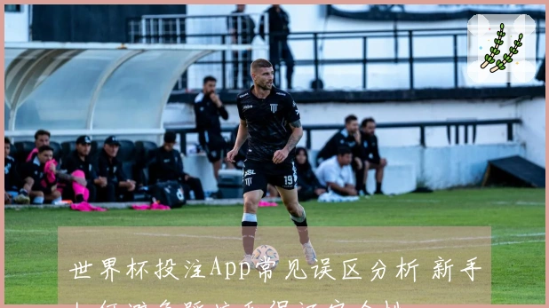世界杯投注App常见误区分析 新手如何避免踩坑和保证安全性