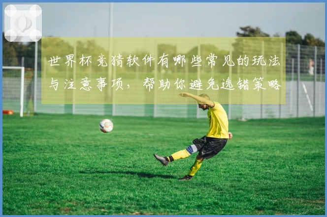 世界杯竞猜软件有哪些常见的玩法与注意事项，帮助你避免选错策略