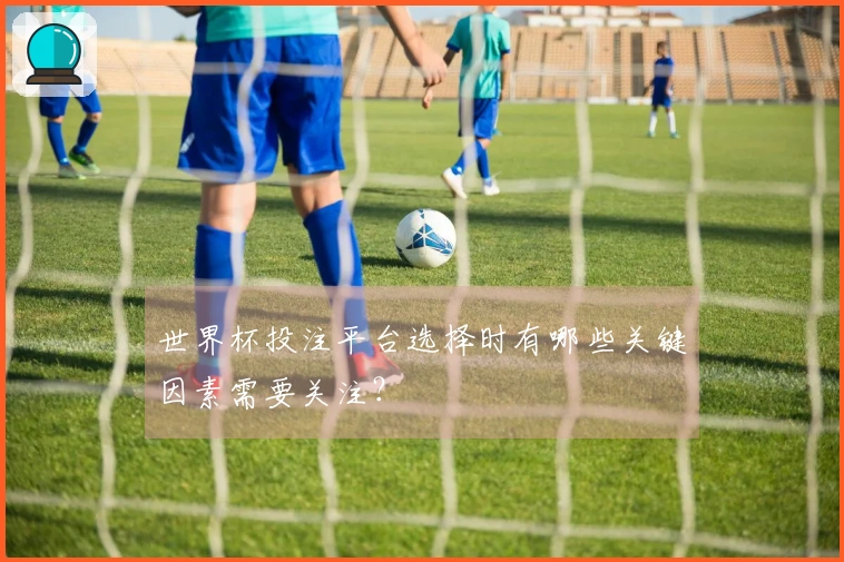 世界杯投注平台选择时有哪些关键因素需要关注？